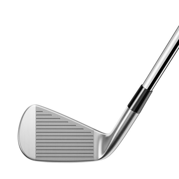 P∙790 Irons - Image 3