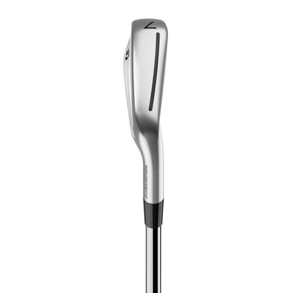 P∙790 Irons - Image 2